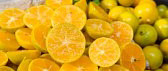 Hakofyt Citrus